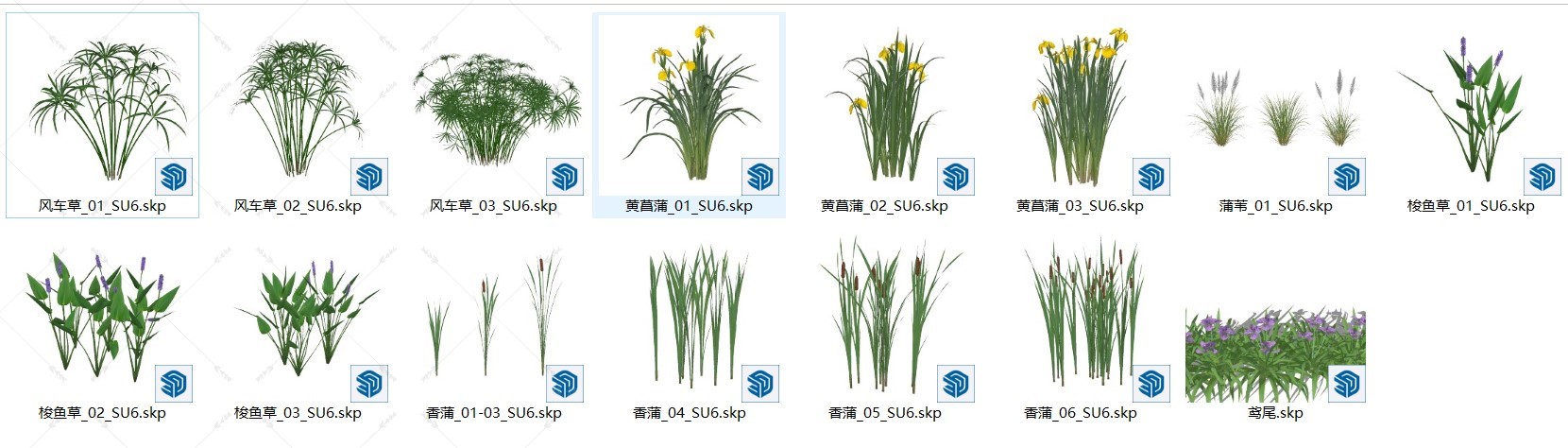 风车草_黄菖蒲_梭鱼草_香蒲水生植物模型下载-1