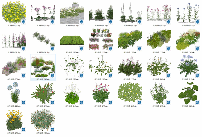 水生植物SU模型下载-1